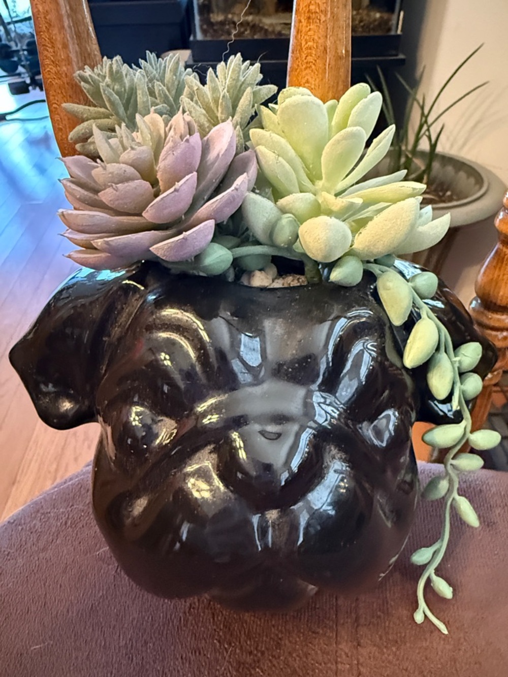 Ceramic Black Pug Planter with Faux Succulents